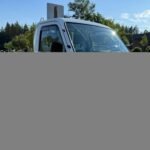 1996 Suzuki Carry Kei Truck (2WD)