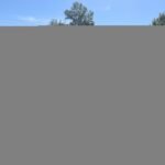 2000 Honda Acty SDX 5-Speed Manual Kei Truck