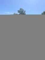 2000 Honda Acty SDX 5-Speed Manual Kei Truck