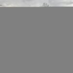 1994 Suzuki Carry 4WD Kei Truck – Hi/Low Transfer Case / Axle Lock