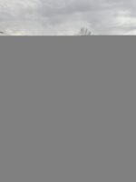 1994 Suzuki Carry 4WD Kei Truck – Hi/Low Transfer Case / Axle Lock