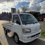 1999 Daihatsu Hijet Kei Truck