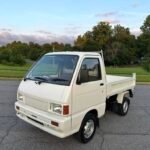 1991 Daihatsu Hijet climber dump